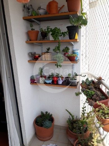apartment em Rua Carlos Silva, Chácara Califórnia - São Paulo - SP