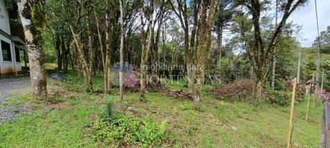 land_lot em Rua Pessegueiro, Carniel - Gramado - RS