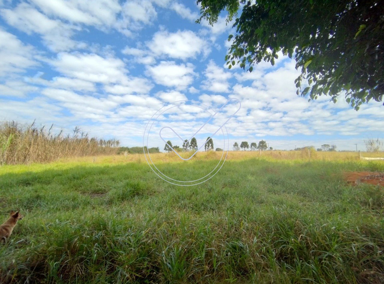 WhatsApp Image 2025-05-29 at 10.10