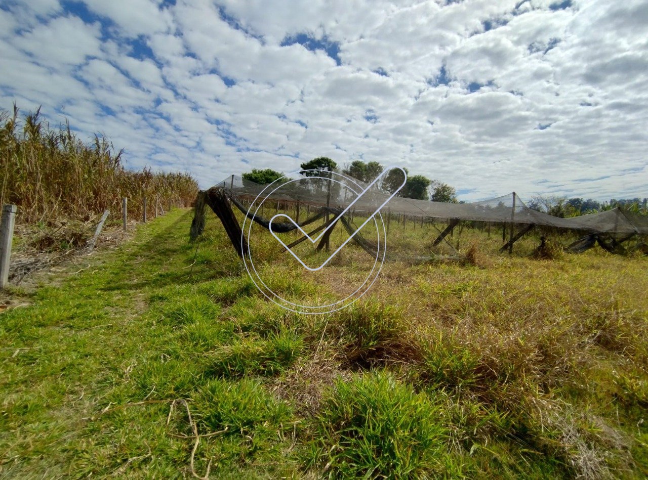 WhatsApp Image 2025-05-29 at 10.10