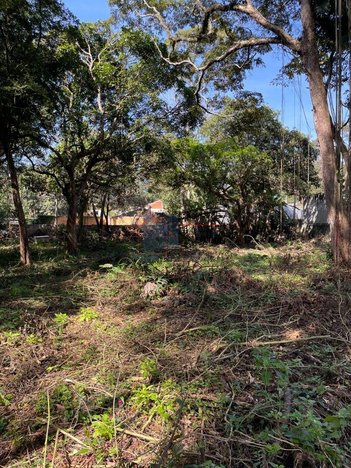 land_lot em Rua Altino Pires, Vila Represa - São Paulo - SP