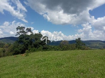 land_lot em Rodovia José Bueno de Miranda, Centro - Pedra Bela - SP