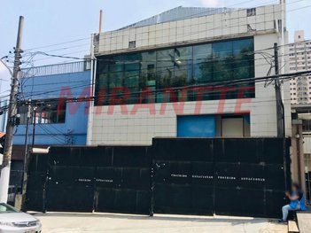 business em Atílio Piffer, Casa Verde - São Paulo - SP