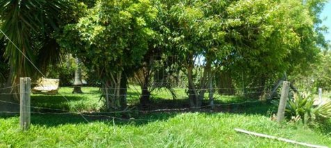 land_lot em Rua Veranópolis, Laranjal - Pelotas - RS