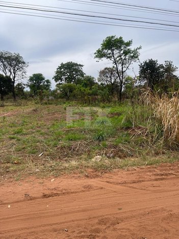 land_lot em Roraima, Panorama - Campo Grande - MS