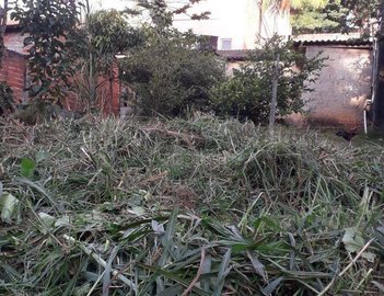 land_lot em Rua Maringá, Jardim São Pedro - Cotia - SP