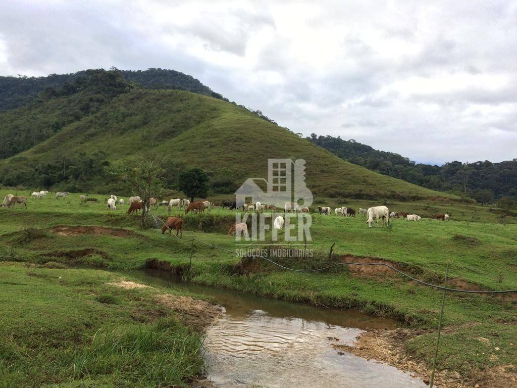 Fazenda em Silva Jardim
