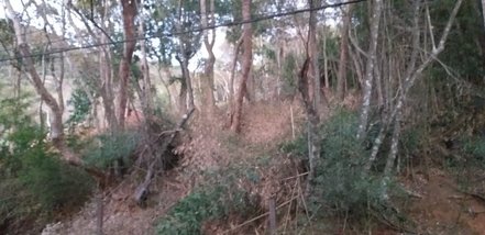 land_lot em Rua Isolina de Freitas Pereira, Samambaia - Petrópolis - RJ