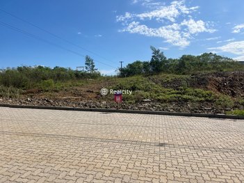 land_lot em Rua José Gava, Tamandaré - Garibaldi - RS