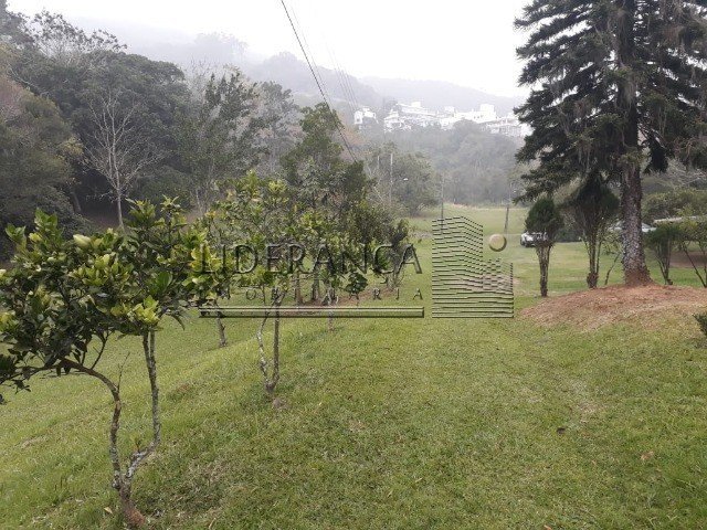Foto 02