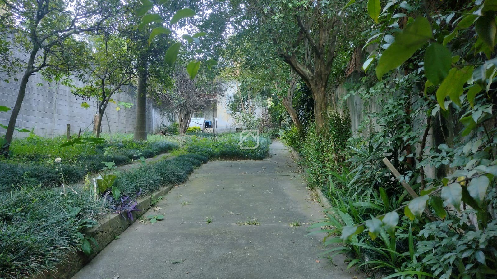 Foto 01