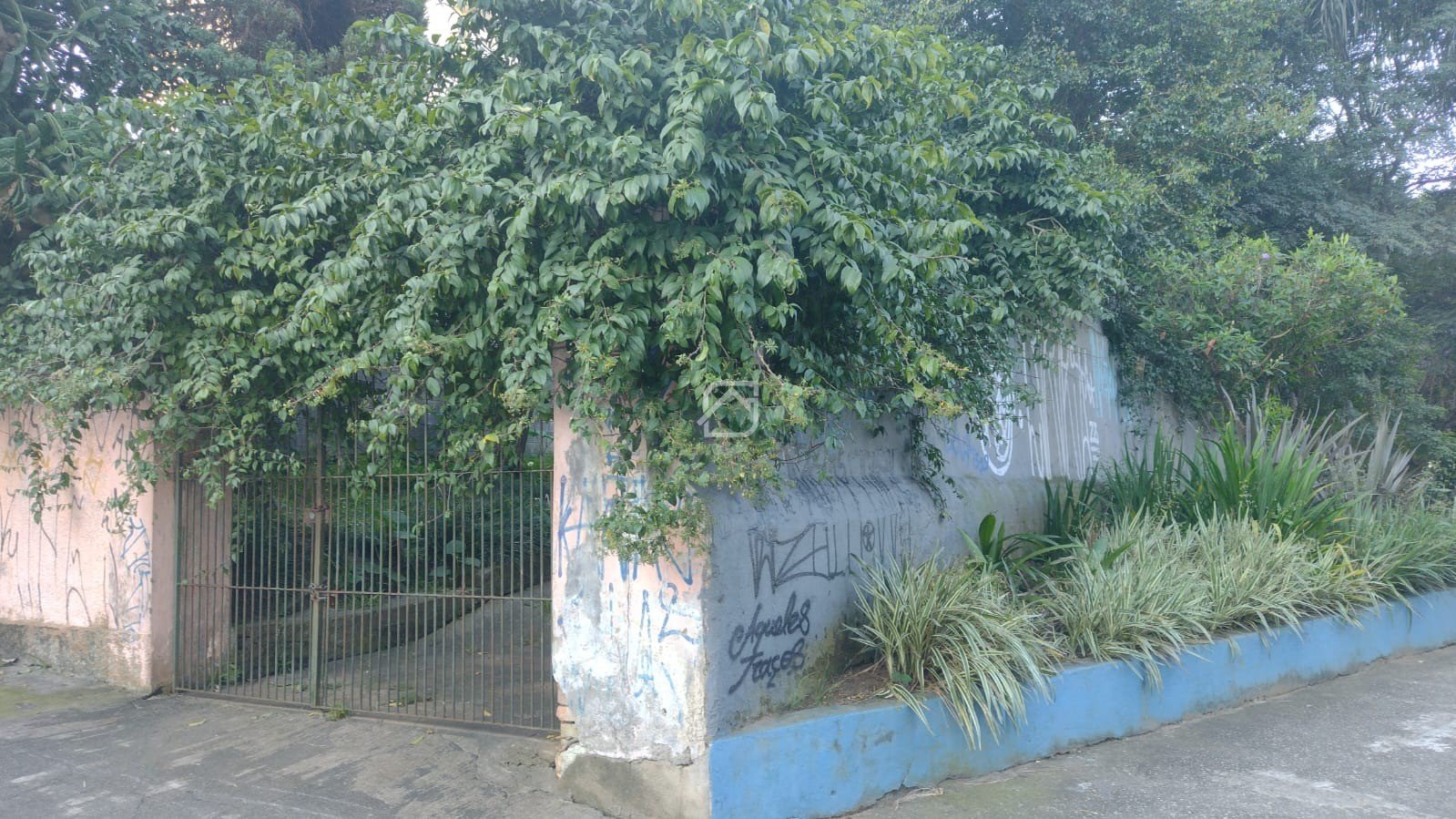 Foto 03