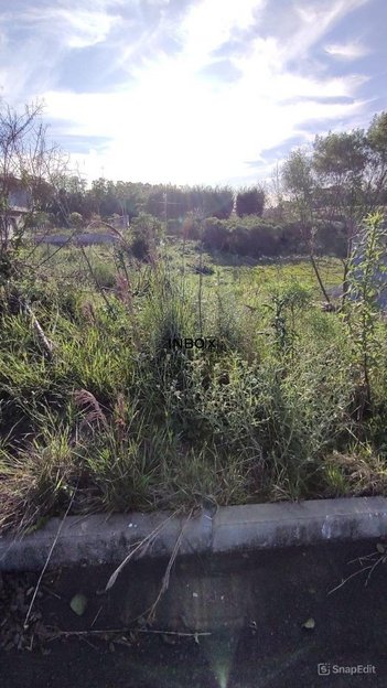 land_lot em Rua José Carli, Tuiuti - Bento Gonçalves - RS
