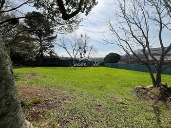 land_lot em Avenida Leo Kraether, Country - Santa Cruz do Sul - RS