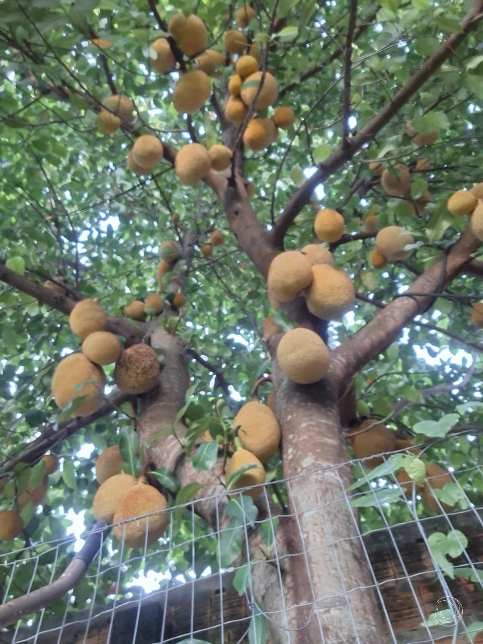 WhatsApp Image 2025-02-06 at 10.29