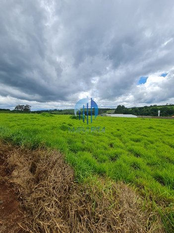 land_lot em Vila Palermo, Centro - Franca - SP