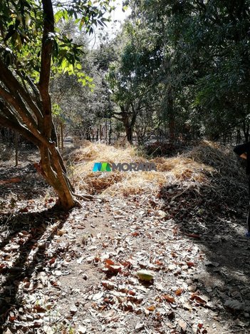 land_lot em Rua Cartagena, Trevo - Belo Horizonte - MG