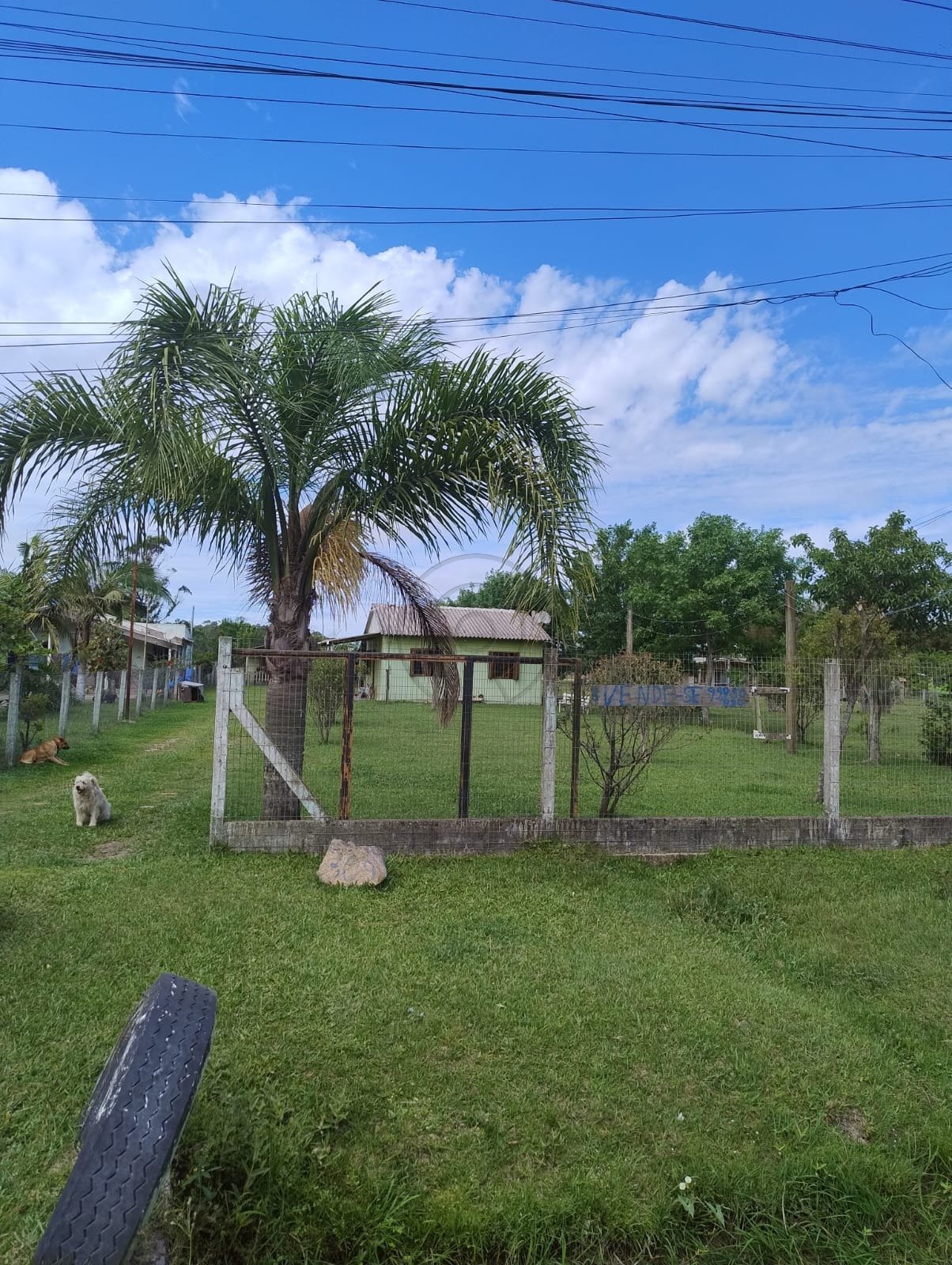 sitio 22
