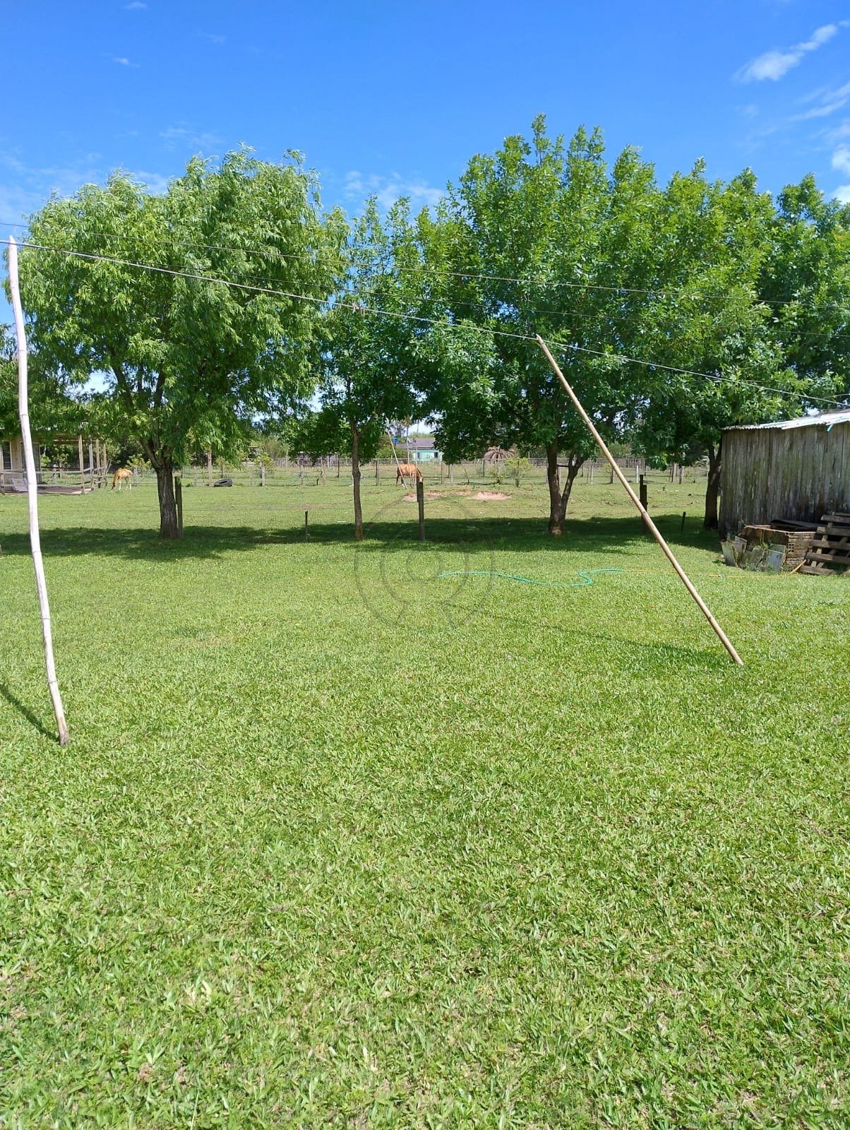 sitio 20