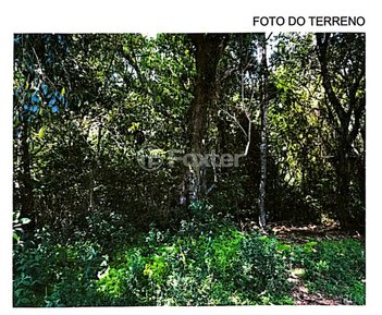 land_lot em BR-116, Centro - Morro Reuter - RS