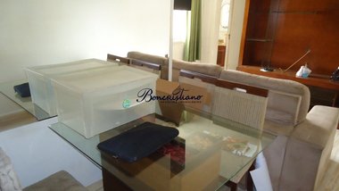 apartment em Avenida Parada Pinto, Vila Nova Cachoeirinha - São Paulo - SP