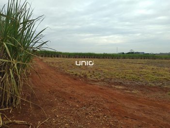 land_lot em Rua Doutor Moraes Barros, Centro - Rio das Pedras - SP