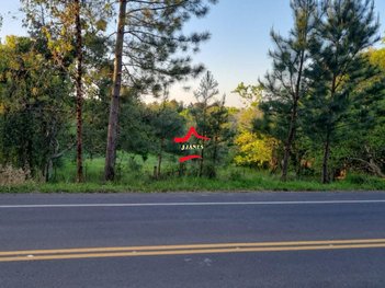 land_lot em Rodovia Arthur José Gattino, Fiuza - Viamão - RS