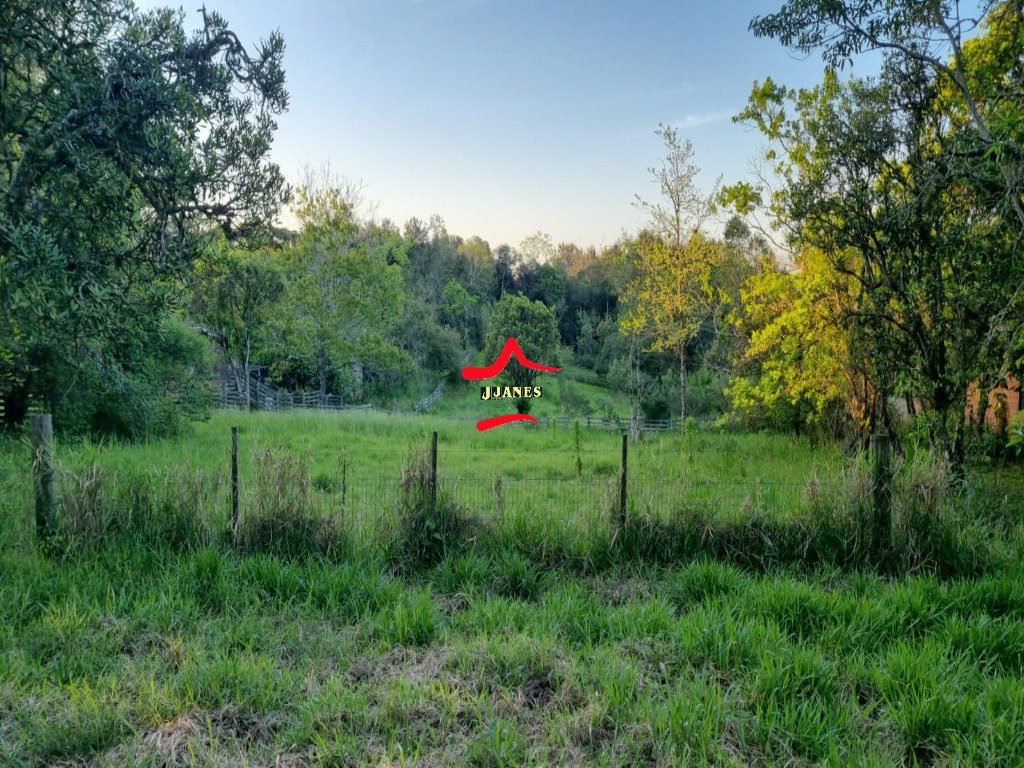 WhatsApp Image 2025-10-21 at 13.27