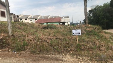 land_lot em Rua Rodolpho Abraham Felicetti, Monte Verde - Farroupilha - RS