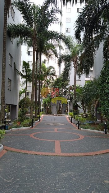 apartment em Rua Solidônio Leite, Vila Ivone - São Paulo - SP