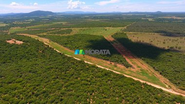 agricultural em Rodovia MG-401, Boa Vista - Janaúba - MG