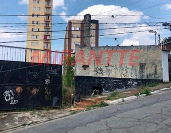 land_lot em Rua Lontra, Vila Isolina Mazzei - São Paulo - SP