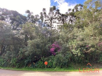 land_lot em Estrada da Serra Velha, São Francisco de Paula - São Francisco de Paula - RS