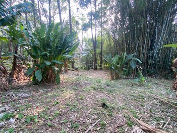 land_lot em Servidão Alcides Anacleto Vieira, Pantanal - Florianópolis - SC