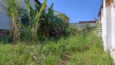 land_lot em Praça Nossa Senhora da Glória, Pedregulho - Guaratinguetá - SP