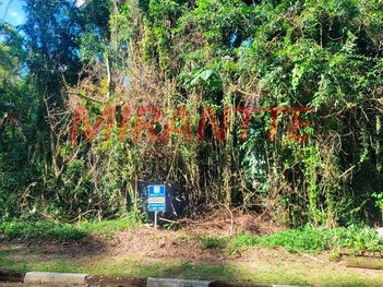 land_lot em Rua Pinheiro, Santa Inês - Caieiras - SP