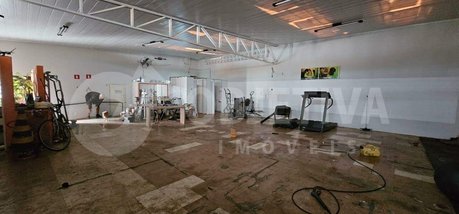 business em Rua República do Piratini, Marta Helena - Uberlândia - MG