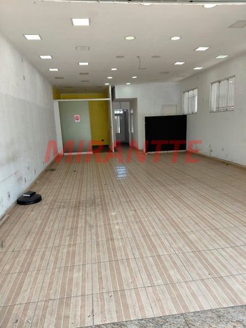 business em Avenida Gustavo Adolfo, Vila Gustavo - São Paulo - SP