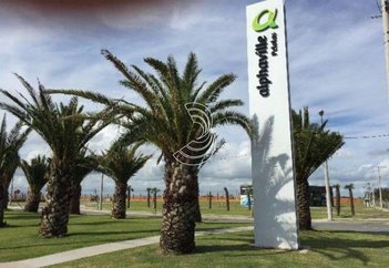 land_lot em Avenida Adolfo Fetter, Laranjal - Pelotas - RS