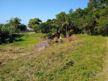 land_lot em Rua Aristides Quintino, Armacao da Piedade - Governador Celso Ramos - SC