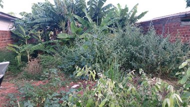 land_lot em Rua Lauro Mendes Córdova, Residencial Fazenda Simone - Paranavaí - PR