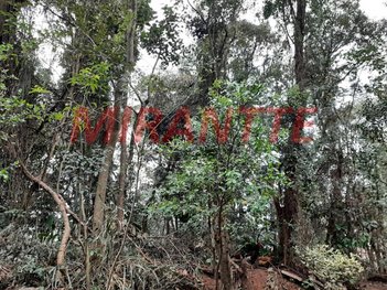 land_lot em Coronel Agostinho Da Fonseca, Tucuruvi - São Paulo - SP