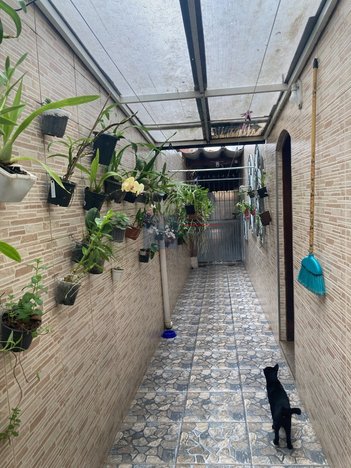 house em Rua Antônio Febraio Filho, Parque das Árvores - São Paulo - SP