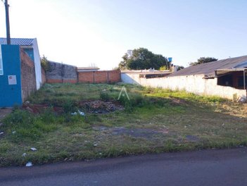 land_lot em Rua Pedro Bau, Universitário - Cascavel - PR