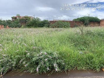 land_lot em Rua Antonio Bartholomeu, Jardim Maria Luiza I - Taquaritinga - SP