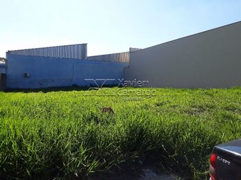 land_lot em 29, Jardim São Paulo II - Rio Claro - SP