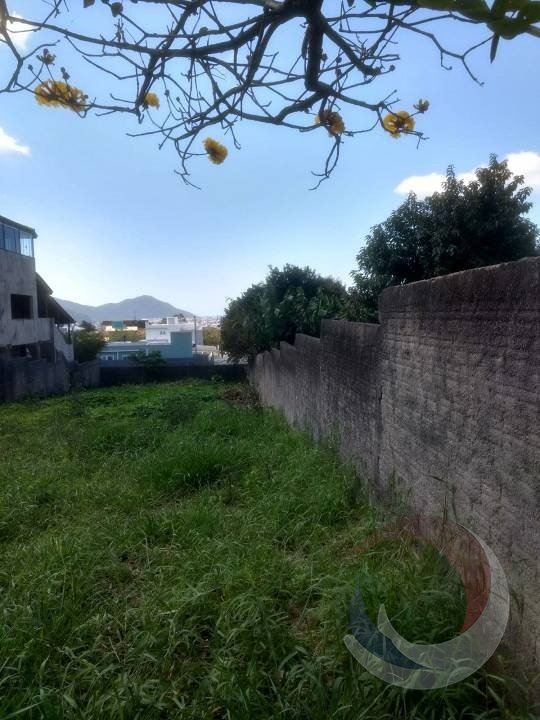 3- interna tr.....