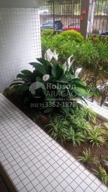 apartment em Rua Doutor Renato Mendonça, Brotas - Salvador - BA