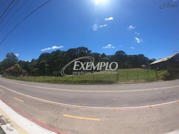land_lot em Avenida Itália, São Pelegrino - Caxias do Sul - RS