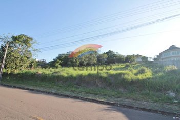 land_lot em Pedro Petry, Rondônia - Novo Hamburgo - RS